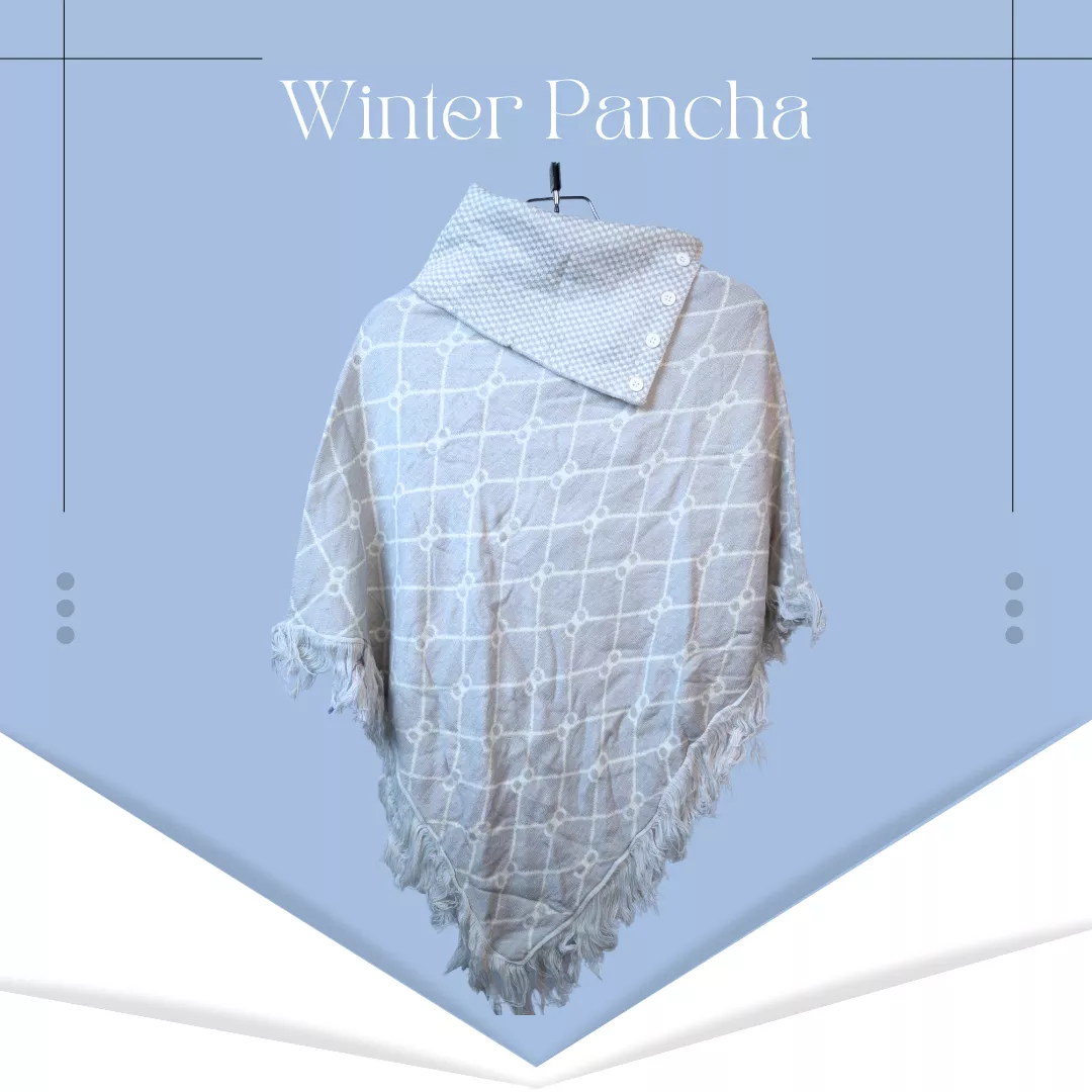 winter-pancha-1-6915b52768e0c.webp