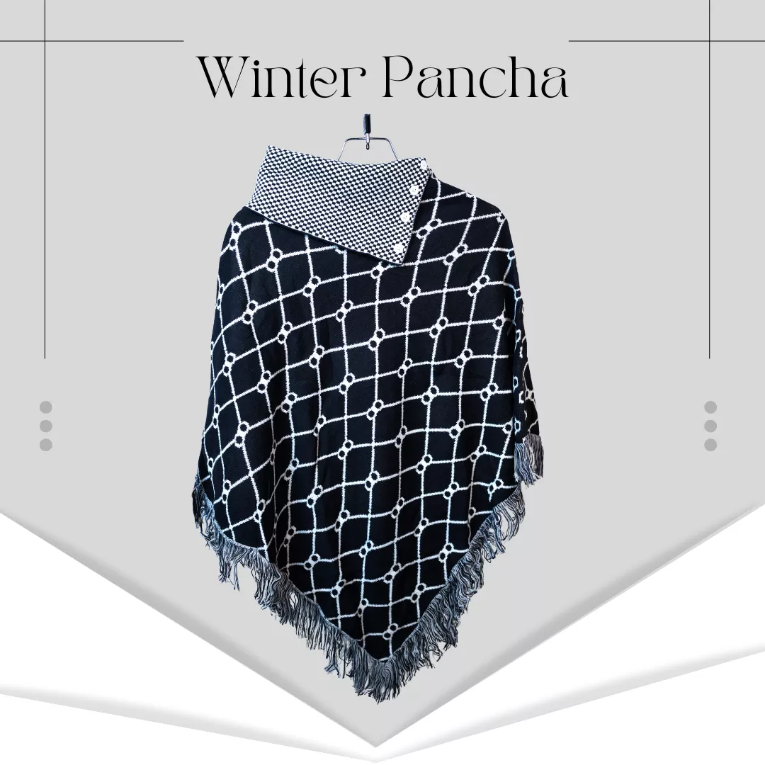 winter-pancha-3-6915b5290ecc9.webp