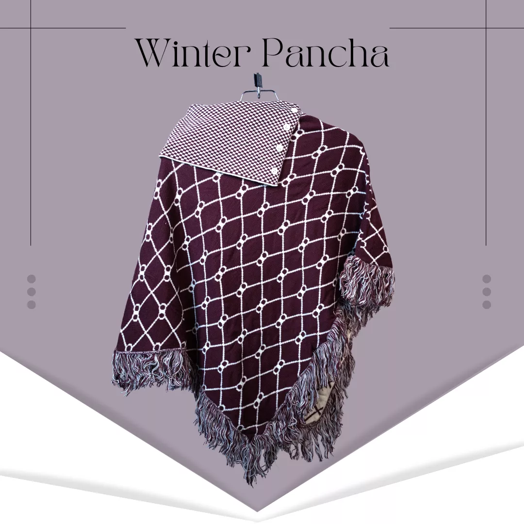 winter-pancha-4-6915b52967e44.webp