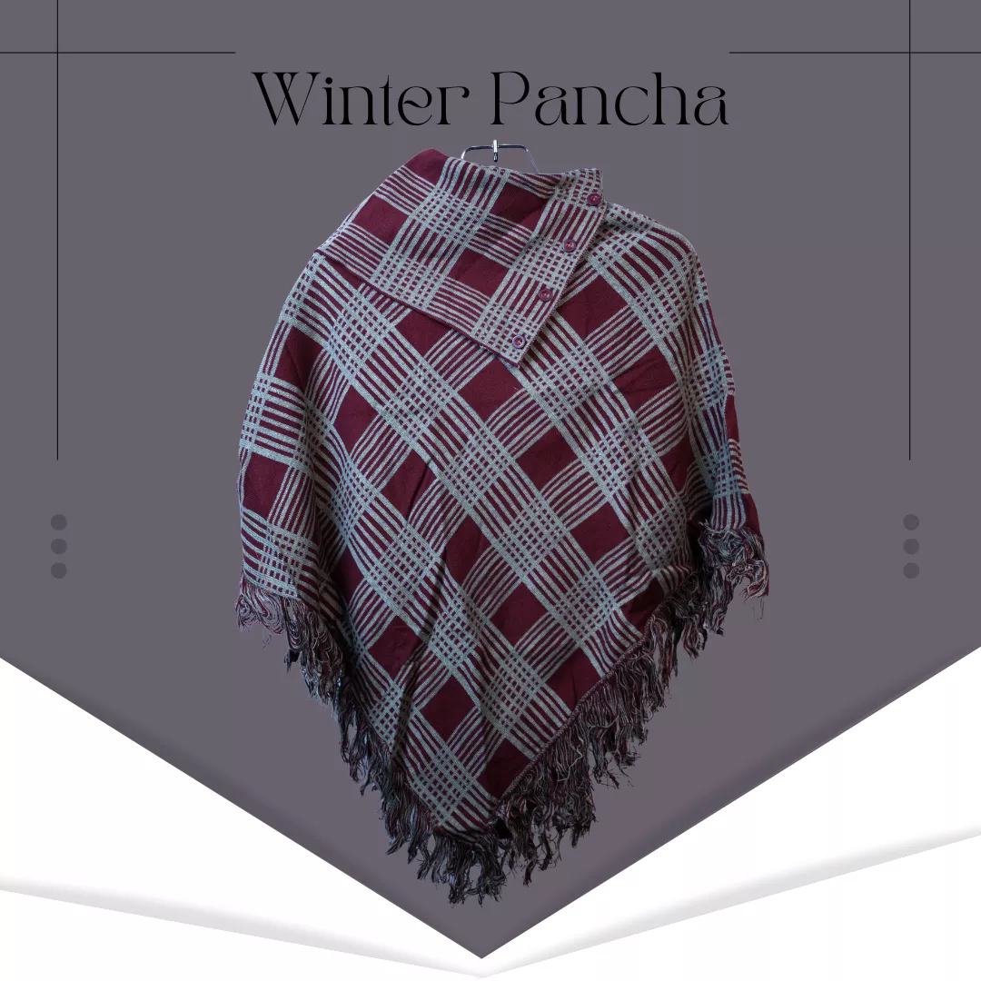 winter-pancha-5-6915b52a5cf23.webp