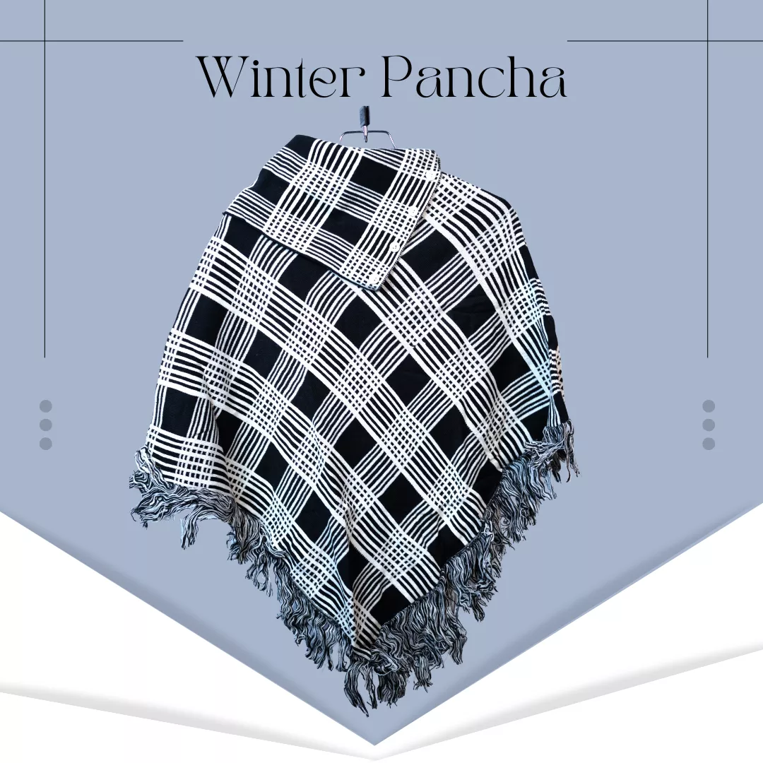 winter-pancha-8-6915b52c4ac93.webp