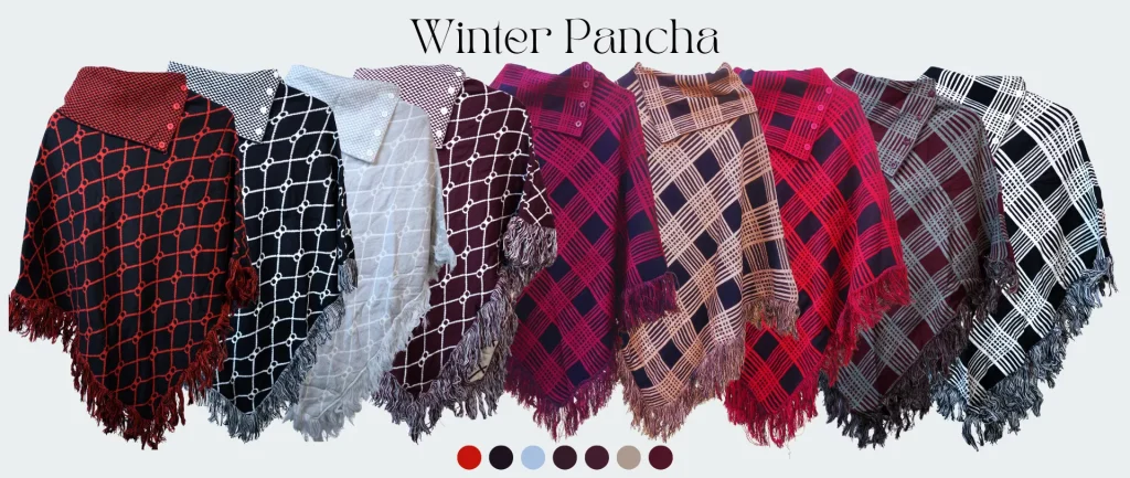 winter-pancha-landing-cover-1-6929a7a7233a9